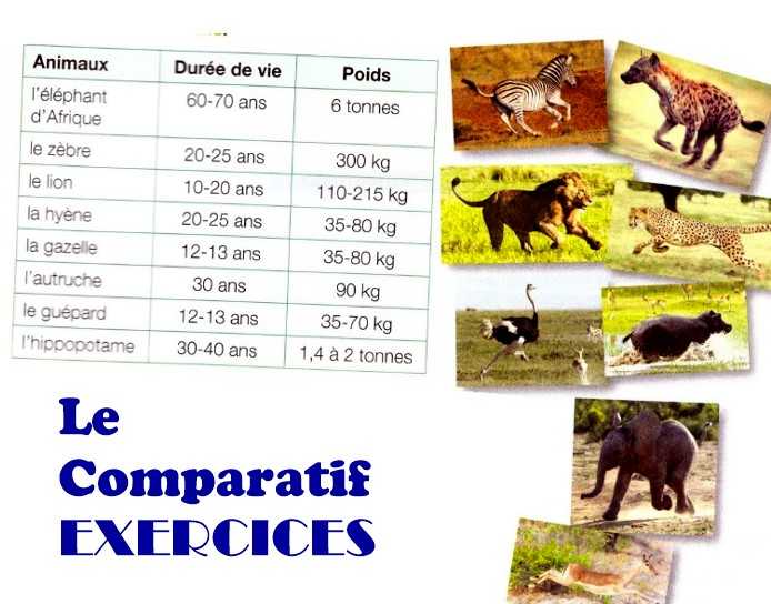 Les Comparatifs Exercices français