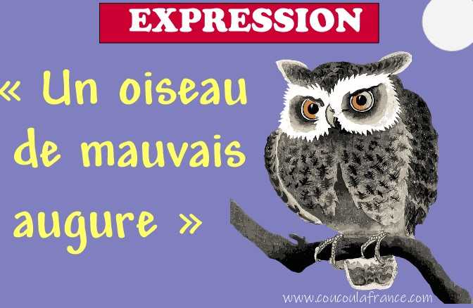 Un Oiseau de mauvais augure Expression