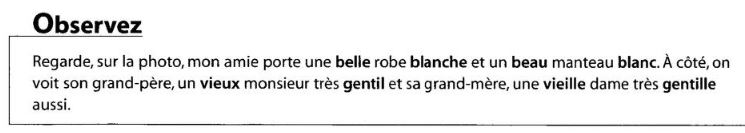 Le Féminin Exercices